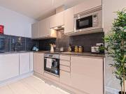 1 bedroom apartment to rent