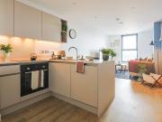 1 bedroom apartment to rent