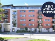 1 bedroom apartment to rent