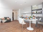 1 bedroom apartment to rent