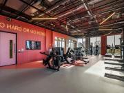 1 bedroom apartment to rent