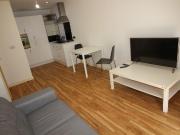 1 bedroom apartment to rent
