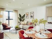 1 bedroom apartment to rent