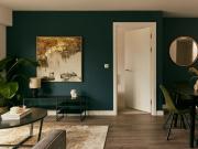 1 bedroom apartment to rent