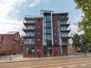 1 bedroom apartment to rent