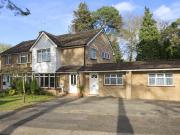 1 bedroom apartment to rent