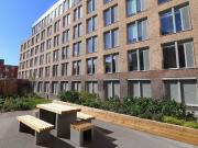 1 bedroom apartment to rent