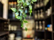 1 bedroom apartment to rent 1 bedroom apartment to rent