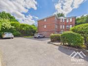 1 bedroom apartment to rent