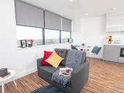 1 bedroom apartment to rent