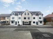 1 bedroom apartment to rent