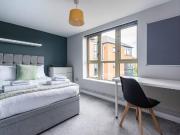 1 bedroom apartment to rent