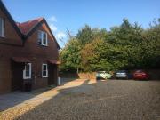 1 bedroom apartment to rent