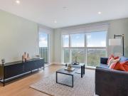 1 bedroom apartment to rent