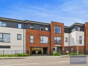 1 bedroom apartment to rent