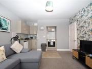 1 bedroom apartment to rent