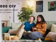 1 bedroom apartment to rent