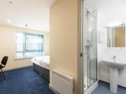 1 bedroom apartment to rent