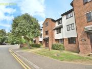 1 bedroom apartment to rent