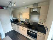 1 bedroom apartment to rent