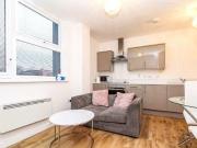 1 bedroom apartment to rent