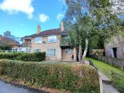 1 bedroom apartment to rent