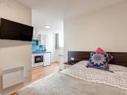 1 bedroom apartment to rent