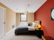 1 bedroom apartment to rent