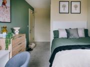 1 bedroom apartment to rent