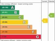 1 bedroom apartment to rent