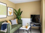 1 bedroom apartment to rent