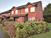 1 bedroom apartment to rent