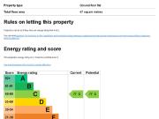 1 bedroom apartment to rent
