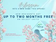 1 Bedroom Apartment Toronto ON 77903506