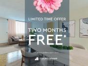 1 Bedroom Apartment Toronto ON 90128053