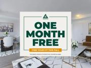 1 Bedroom Apartment Toronto ON 90984921