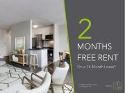 1 Bedroom Apartment Toronto ON 91315138