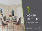 1 Bedroom Apartment Toronto ON 91414054