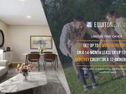 1 Bedroom Apartment Toronto ON 91748087