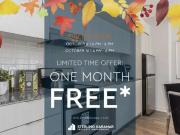 1 Bedroom Apartment Toronto ON 92568299