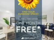 1 Bedroom Apartment Toronto ON 93314603