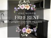 1 Bedroom Apartment Toronto ON 93442826