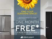 1 Bedroom Apartment Toronto ON 94182553