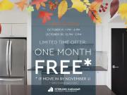 1 Bedroom Apartment Toronto ON 95090809