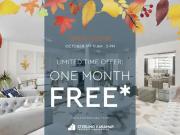 1 Bedroom Apartment Toronto ON 95173206