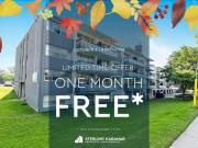 1 Bedroom Apartment Toronto ON 95173511