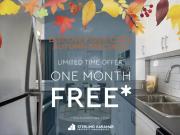 1 Bedroom Apartment Toronto ON 95424245