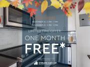 1 Bedroom Apartment Toronto ON 96250945