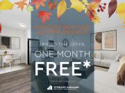 1 Bedroom Apartment Toronto ON 96279771