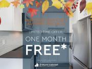 1 Bedroom Apartment Toronto ON 96280123